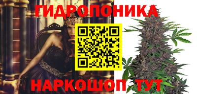 метадон Лесосибирск