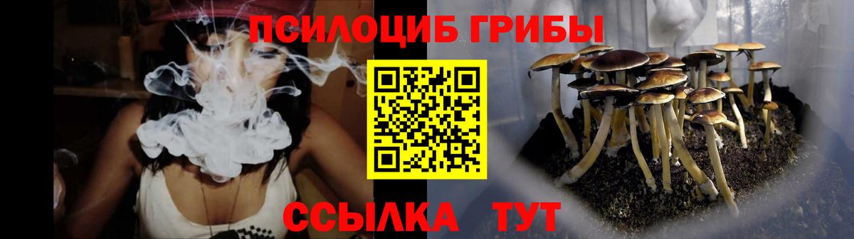 Псилоцибиновые грибы Psilocybine cubensis  Вход с VPN  Качканар  Псилоцибиновые грибы MAGIC MUSHROOMS 