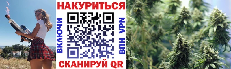 купить наркотики сайты  Качканар  Канабис план 